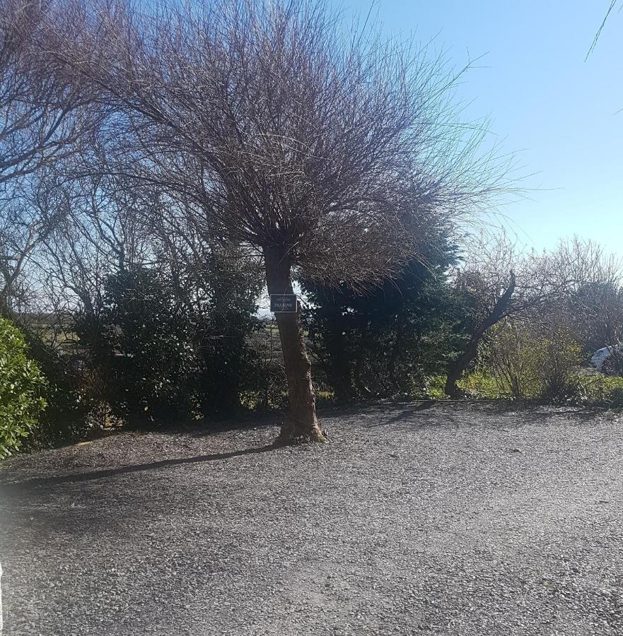 Mountain View Apartment - Short Drive To Beaches Bryngwran Buitenkant foto
