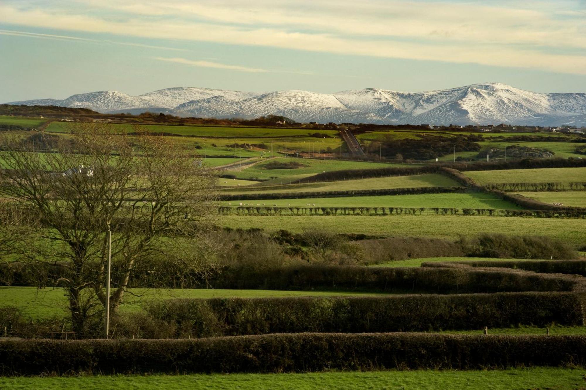 Mountain View Apartment - Short Drive To Beaches Bryngwran Buitenkant foto